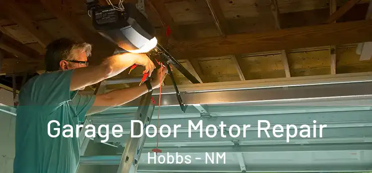  Garage Door Motor Repair Hobbs - NM