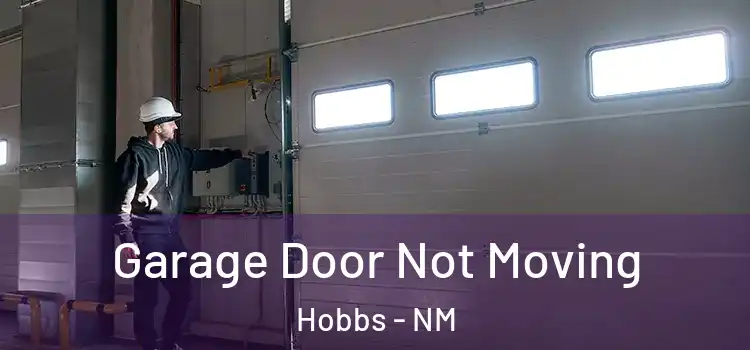  Garage Door Not Moving Hobbs - NM