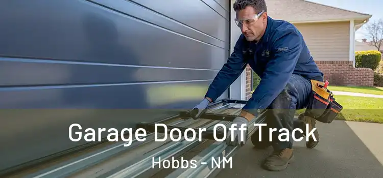  Garage Door Off Track Hobbs - NM