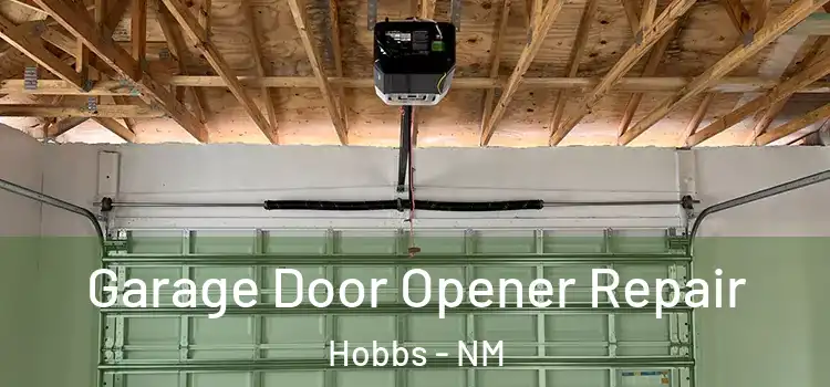  Garage Door Opener Repair Hobbs - NM