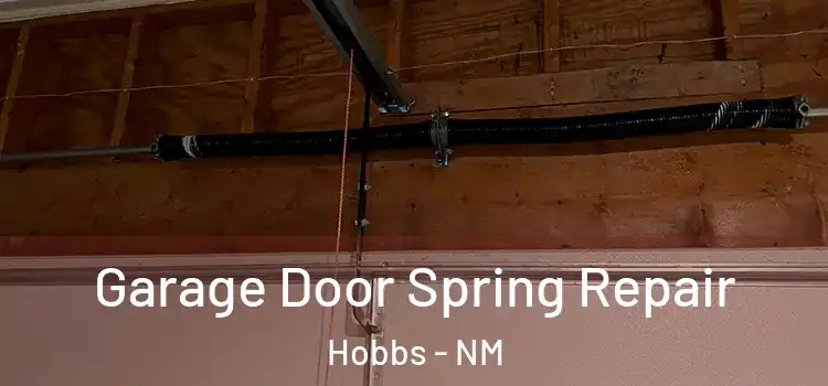 Garage Door Spring Repair Hobbs - NM