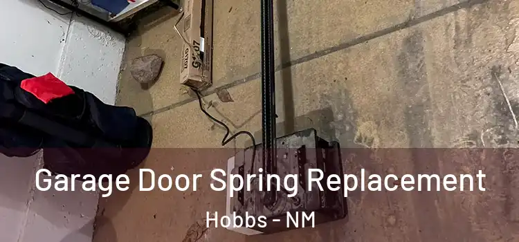  Garage Door Spring Replacement Hobbs - NM