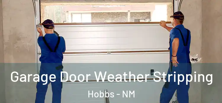  Garage Door Weather Stripping Hobbs - NM