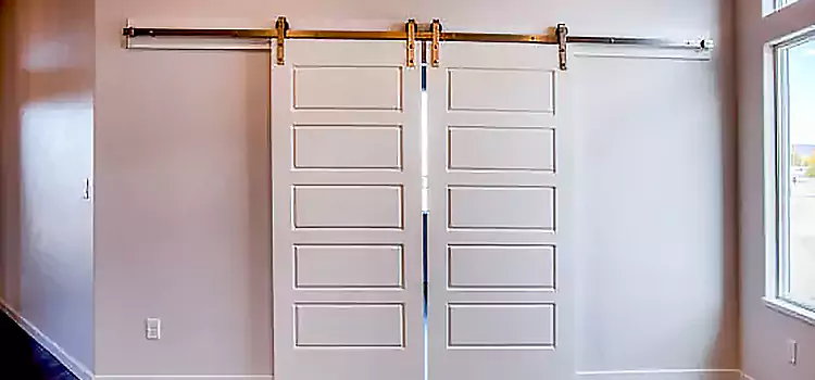 Glass Barn Door with Installation Hardware Kit Hobbs