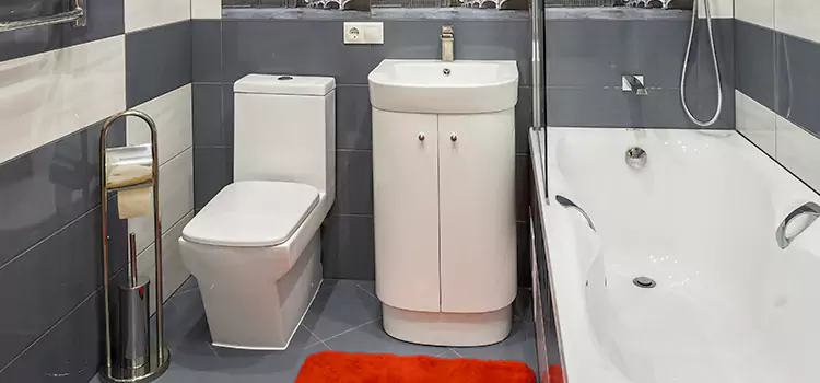 Hansgrohe Shaving Mirror Hobbs
